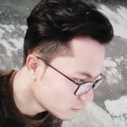  ,   Sako, 31 ,     , c 