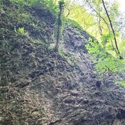 ���������� ������, ���� ������� ����������, 30 ���, ������������ ��� ������, ����� � ���������, c�������� ���������