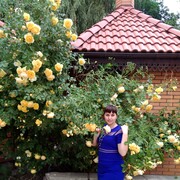 ��� ����