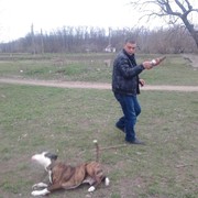 ���������� ���������, ���� ������� ������, 38 ���, ������������ ��� ����� � ���������, c�������� ���������