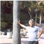  ,   Hayk, 62 ,  