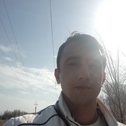 ���������� ����, ���� ������� �������, 38 ���, ������������ ��� ������, ����� � ���������, c�������� ���������