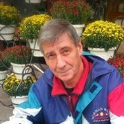 ���������� �������, ���� ������� �������, 66 ���, ������������ ��� ������, ����� � ���������, c�������� ���������