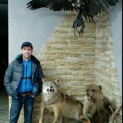  ,   , 47 ,   ,   , c , 