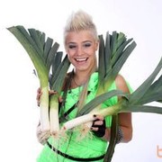 ���������� �������, ���� ������� Sofiko, 39 ���, ������������ ��� ������, ����� � ���������, c�������� ���������