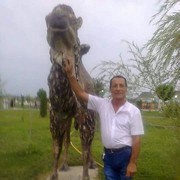 ,   Efqan, 64 ,   ,   , c 