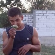 ���������� ������, ���� ������� ���������, 27 ���, ������������ ��� ������, ����� � ���������