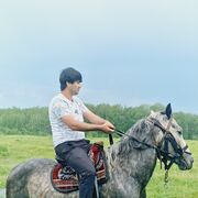 ���������� �����������, ���� ������� Samad, 29 ���, ������������ ��� ������, ����� � ���������, c�������� ���������, ���������