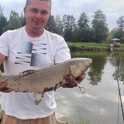 ���������� ������, ���� ������� �������, 38 ���, ������������ ��� ����� � ���������, c�������� ���������