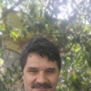  -,   , 52 ,   ,   