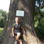 ���������� �����, ���� ������� ���������, 56 ���, ������������ ��� ������, ����� � ���������, c�������� ���������