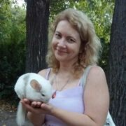 ���������� �������, ���� ������� �����, 50 ���, ������������ ��� ������, ����� � ���������, c�������� ���������