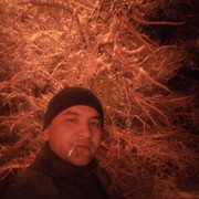  -,   , 37 ,     , c 