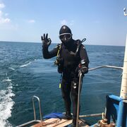 ���������� ���������, ���� ������� �������, 50 ���, ������������ ��� ������, ����� � ���������, c�������� ���������