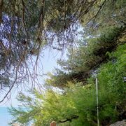 ���������� ������-��-����, ���� ������� ������, 51 ���, ������������ ��� ������, ����� � ���������, c�������� ���������, ���������