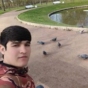 ���������� �����-���������, ���� ����� ����, 24 ����, ������������ ��� ������, ����� � ���������