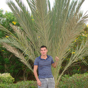 ���������� ���������, ���� ������� �������, 43 ����, ������������ ��� ������, ����� � ���������, c�������� ���������