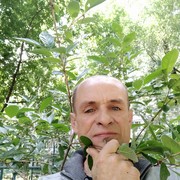  --,   Stipan, 41 ,   ,   , c 