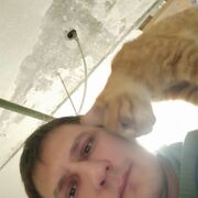 ���������� ����, ���� ������� �������, 40 ���, ������������ ��� c�������� ���������