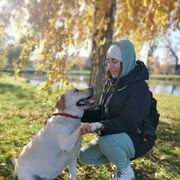 ���������� ������, ���� ������� �����, 44 ����, ������������ ��� c�������� ���������