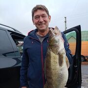 ���������� ������, ������� ���������, 48