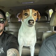 ���������� �����-���������, ���� ������� ����, 35 ���, ������������ ��� ������, ����� � ���������