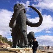  ,   Denis, 42 ,   ,   , c 