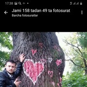  ,   , 31 ,     , c , 