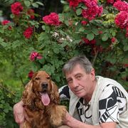 ���������� �������, ���� ������� �������, 66 ���, ������������ ��� ������, ����� � ���������, c�������� ���������