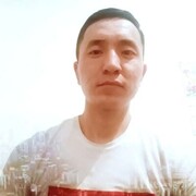  ,  , 29