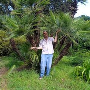  ,   , 56 ,   ,   