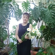  ,   , 61 ,   ,   , c 