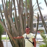  ,     , 53 ,   