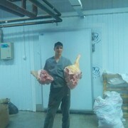 ���������� ���������, ���� ������� �����, 40 ���, ������������ ��� c�������� ���������