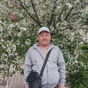  ,   , 56 ,   ,   
