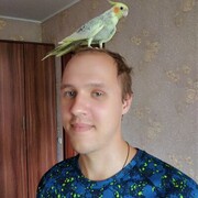 ���������� �����, ���� ������� ������, 32 ����, ������������ ��� ������, ����� � ���������, c�������� ���������, ���������