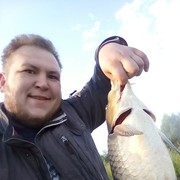 ���������� ������������, ���� ������� ������, 33 ����, ������������ ��� ������, ����� � ���������, c�������� ���������