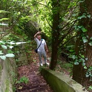 ���������� ������ ��������, ���� ������� �������, 34 ����, ������������ ��� ����� � ���������, c�������� ���������