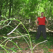  ,   Andruha, 45 ,     , c , 