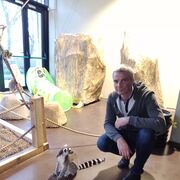 ���������� ����, ���� ������� �����, 45 ���, ������������ ��� ������, ����� � ���������, c�������� ���������