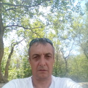  -,   , 53 ,  