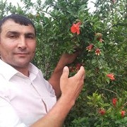   ,   , 56 ,   