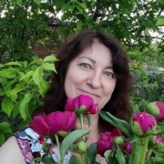  ,   , 55 ,   ,   , c , 