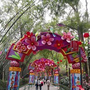  ,   Qin, 49 ,   ,   , c 