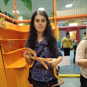  ,   , 34 ,   