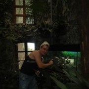 ���������� ������, ���� ������� �����, 40 ���, ������������ ��� ������, ����� � ���������, c�������� ���������, ���������