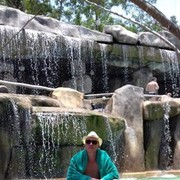 ���������� �����������, ���� ������� �����, 38 ���, ������������ 