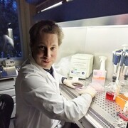 ���������� ������, ���� ������� ���������, 48 ���, ������������ ��� c�������� ���������