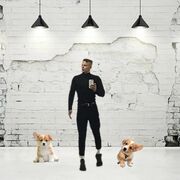 ���������� ������, ���� ������� �������, 26 ���, ������������ ��� ������, ����� � ���������, c�������� ���������