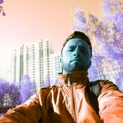  ,   Boss boss, 31 ,   ,   